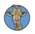 ExtSQL Provides Usage Accounting