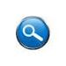 The Top Searches of 2011