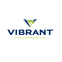 Following Links: Vibrant Related Content