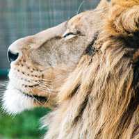 Building Links for the Lazy Marketer