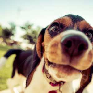 Let's Talk Digital Loyalty