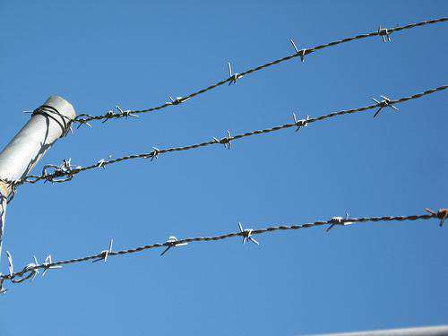 5 Cloud Security Trends Online Businesses Need to Know About