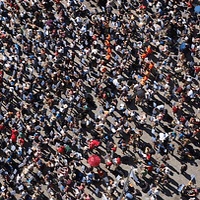 5 Tips to Organically Double Your Website's Audience