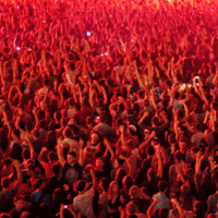 The SEO is Dead Crowd is Wrong... Again