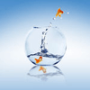 Are American Entrepreneurs on the Decline? Moonlighting Research Says No.