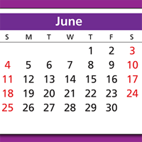 Mid-Year SEO Trends