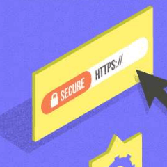 HTTPS Migration [Infographic]
