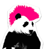 Advice for a Panda Attack: SEO Quick Hit