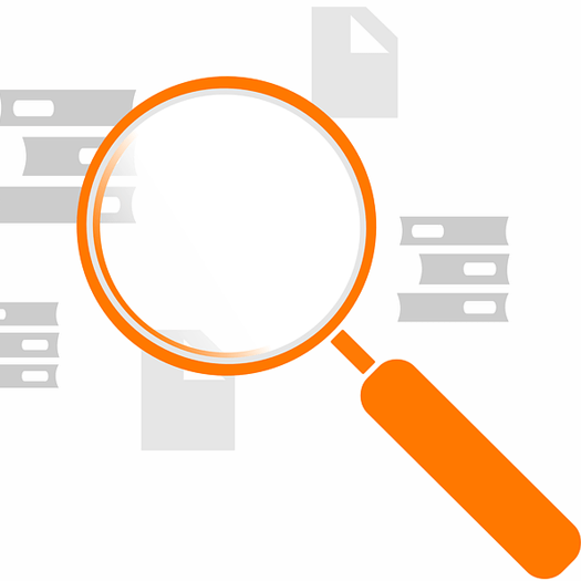 Photos, Voice & Content Quickly Changing On-Site Search Requirements